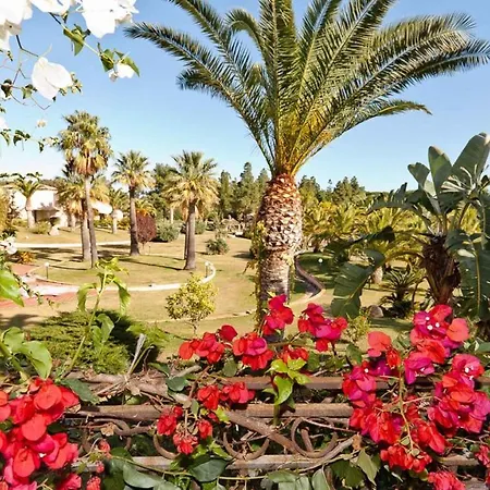 Appartement Baia Delle Palme 43439 Fox E Sali-monte Agumu